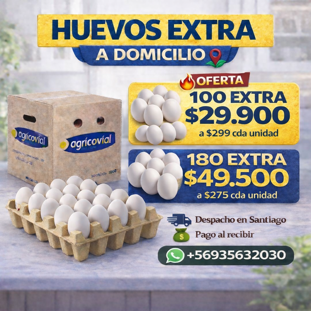 Caja 100 unidades Huevo Extra